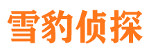 云溪侦探公司